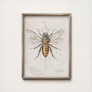 May include: A framed print featuring a detailed illustration of a bee, rendered in shades of yellow, brown, and tan. The bee is centered against a backdrop of architectural-style grid lines and handwritten notes, creating a vintage aesthetic. The frame is gold.