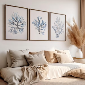Minimalist Coastal Wall Art Light Blue Coral Prints Set of 3,  for Living Room & Bedroom, Modern Ocean Decor