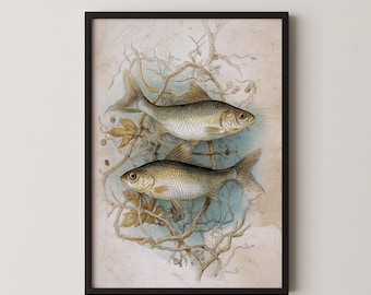 Vintage Freshwater Fish Print, Scientific Illustration Wall Art, Lake House Decor Digital Download