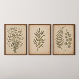 May include: A set of three rectangular wall art prints in brown wooden frames. The first print shows a wildflower bouquet, the second an olive branch with olives, and the third a fern frond and a eucalyptus branch on a beige paper background.