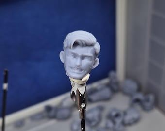 marvels friendly neighbourhood spiderman Peter parker heads