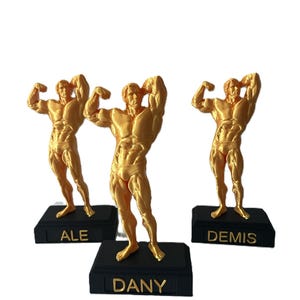 Trophies for Any Event, custom award, event award, personalized award, school award, fun award, trophy, bodybuilding, event gift, party gift