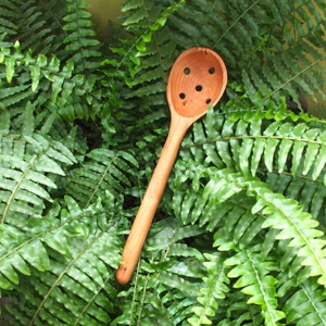 May include: A wooden spoon with holes in the bowl, resting on a bed of green ferns.