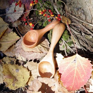 May include: Two handcrafted wooden spoons with long handles and rounded bowls. The spoons are light brown and rest on a bed of autumn leaves in shades of yellow, brown, and red. Small red berries and twigs are in the background.