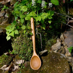 Könnte beinhalten: Ein Holzlöffel mit langem Stiel, der auf einem Bett aus Moos und Steinen liegt. Der Löffel ist aus hellem braunem Holz gefertigt und hat eine glatte, abgerundete Schale.