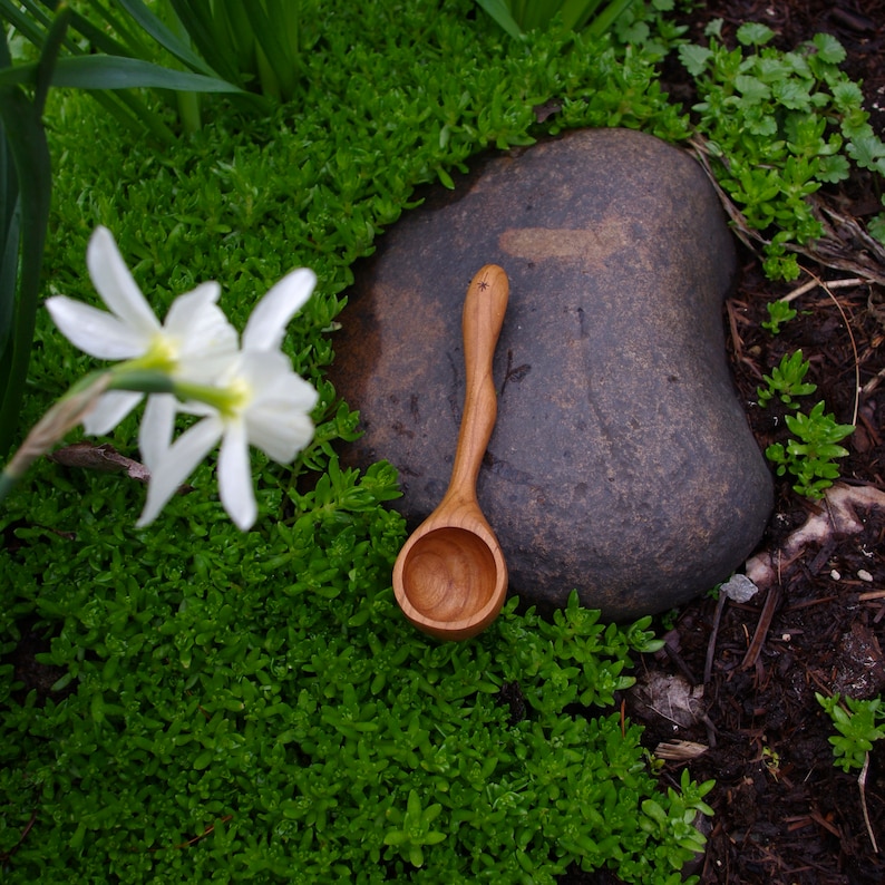 May include: A wooden spoon with a long handle and a rounded bowl rests on a bed of green plants. The spoon is light brown with a carved design on the handle. A large, dark gray rock is behind the spoon. White flowers are in the background.