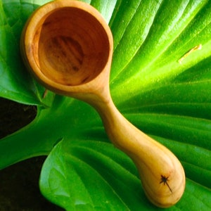 May include: A handcrafted wooden scoop with a rounded bowl and a curved handle. The scoop is light brown and features a star-shaped design on the handle. It rests on a large, vibrant green leaf.
