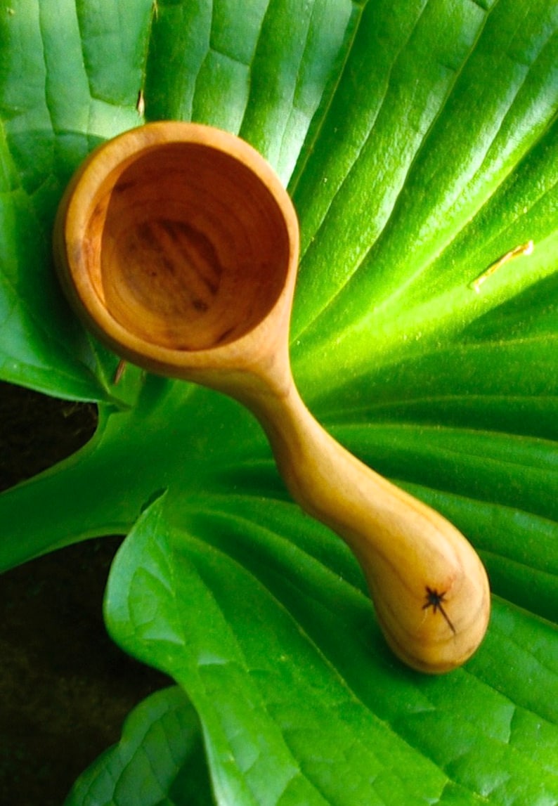 May include: A handcrafted wooden scoop with a rounded bowl and a curved handle. The scoop is light brown and features a star-shaped design on the handle. It rests on a large, vibrant green leaf.