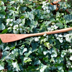 May include: A long, wooden spatula with a wide, flat blade. The spatula is made of light brown wood and has a smooth finish. It is lying on a bed of green leaves.