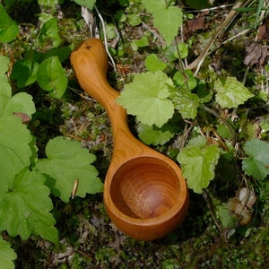 May include: A handcrafted wooden scoop with a long, curved handle and a round bowl. The scoop is made of light brown wood and features a small star-shaped carving on the handle. The scoop is resting on a bed of green leaves and moss.