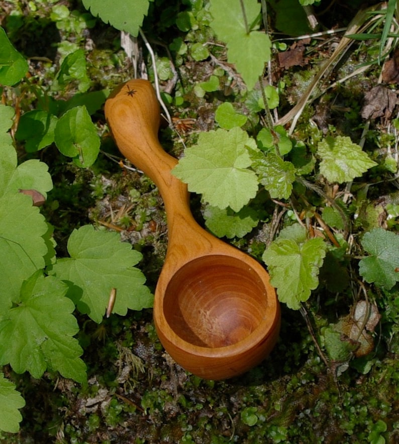 May include: A handcrafted wooden scoop with a long, curved handle and a round bowl. The scoop is made of light brown wood and features a small star-shaped carving on the handle. The scoop is resting on a bed of green leaves and moss.