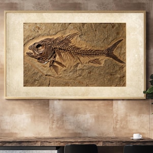 Vintage Fossil Fish Wall Art, Prehistoric Skeleton Print, Natural History Illustration,Digital Download for Home Decor,Paleontology Wall Art