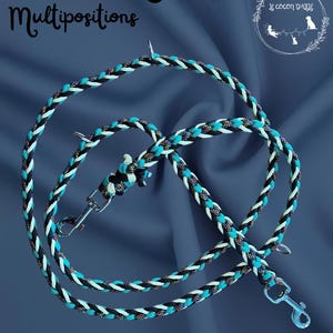 Multi-position dog leash