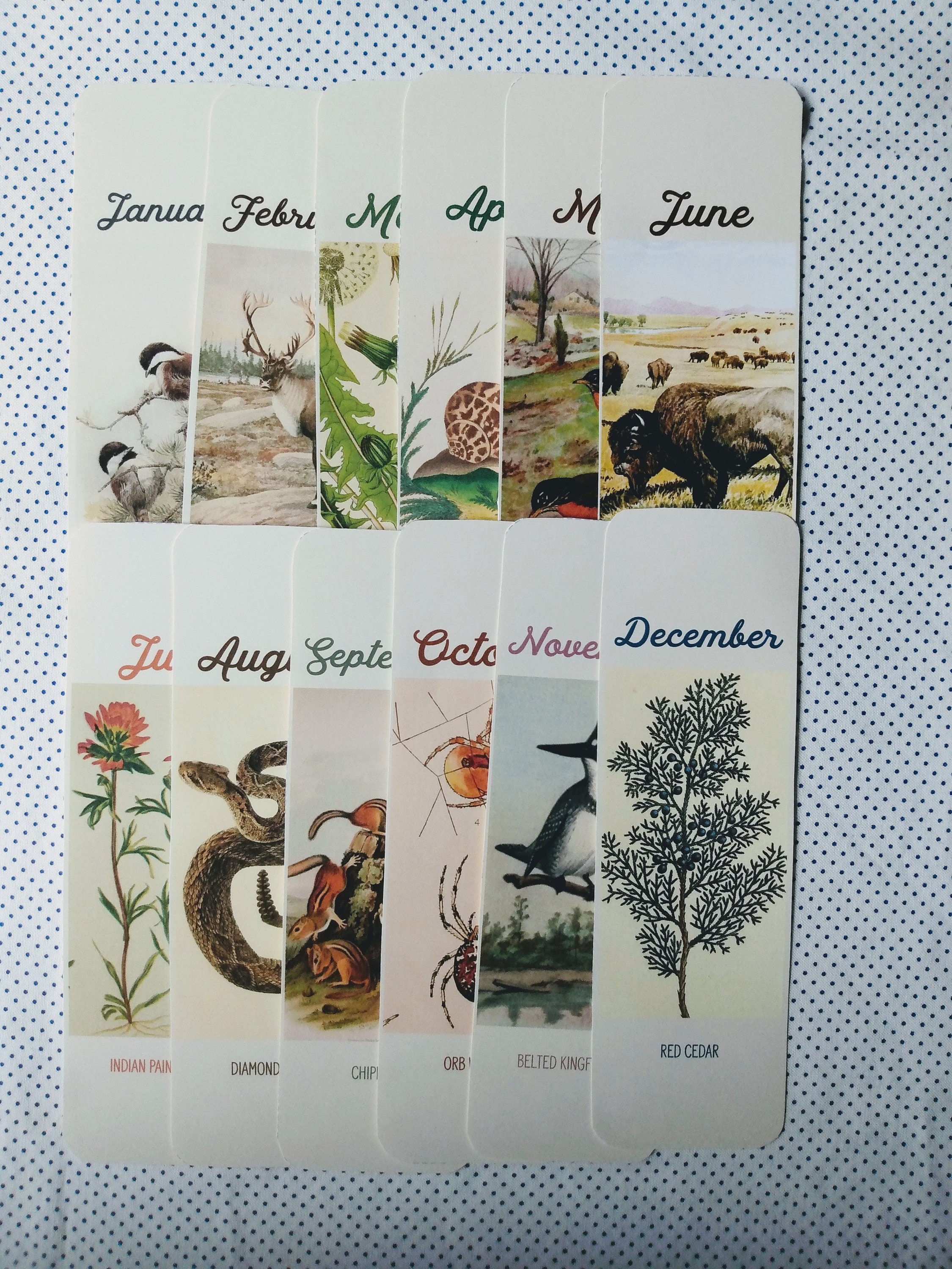 set of 12 large printable nature wildlife bookmarks