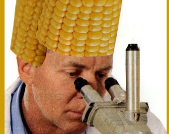 MAGNET-At Last I've Created FAKE FOOD
