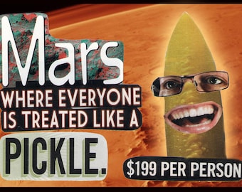 MAGNET- Martian Pickles