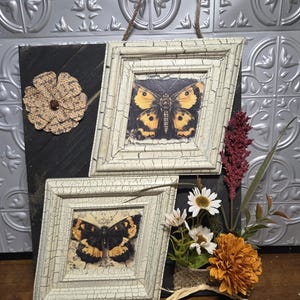May include: A decorative wall hanging with two framed butterfly prints in distressed white frames. A burlap flower and floral arrangement with orange and white flowers and greenery are included.