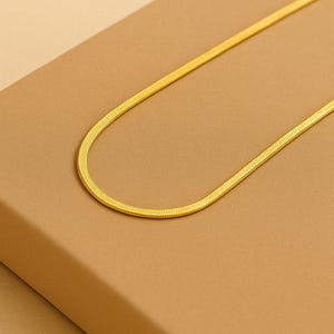 Personalized Unisex Snake Chain Necklace, Stainless Steel Choker, Gold Color, Fashion Jewelry, Gift for Her, Women and Men