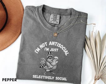 Funny Raccoon Meme T-shirt, Comfort Colors, Animal Lover Gift