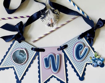 May include: A decorative banner with the word "ONE" in blue and white lettering. The banner has a blueberry theme, with a blueberry illustration and a cluster of blueberries. The banner is decorated with blue ribbon and paper straws.