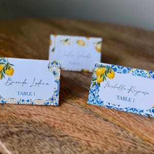 Amalfi Coast Printed Place Cards, Custom Name & Table Cards,Mediterranean Birthday Decor, La Dolce Vita, Bridal/Baby Shower