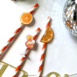 Aperol Spritz Party Straws, Orange Garnish Cocktail Straws, Summer Party Decor, Bachelorette, Bridal Shower, Birthday Party