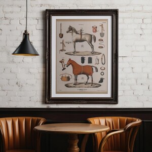May include: Framed vintage print featuring two horses and equestrian equipment illustrations. The artwork is in a dark wooden frame, hanging on a white brick wall. The print has a tan background with detailed drawings of horses and tack.