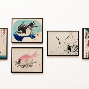 May include: A collection of five framed Japanese-style prints. The prints feature birds, fish, and floral elements in a traditional Ukiyo-e style. The color palette includes shades of red, blue, green, and white, with black frames.