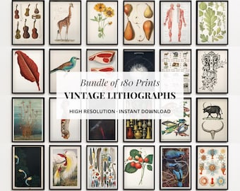 Bundel vintage kunstprints: botanische, anatomische en dierenillustraties (digitale download)