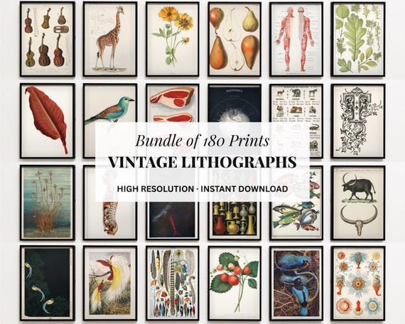 Vintage Art Prints Bundle: Botanical, Anatomy, Animal Illustrations (Digital Download
