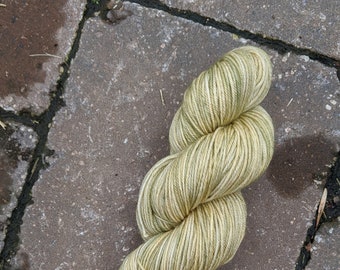 First Spring Bud Tonal Sport Superwash Merino - 100g hank / 329 yards