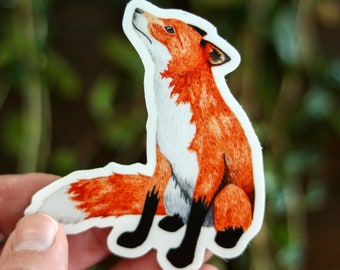 Red Fox Sticker - Watercolor Painting - Cute Fox Painting - Woodland Creatures - Wildlife - Vinyl Sticker - Bumper Sticker - Laptop Sticker