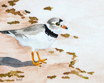 Piping Plover - Fine Art Print - Watercolor - Beach - Lake Michigan - Giclée - Shorebird - Birds of the Air - Wildlife - Endangered Species