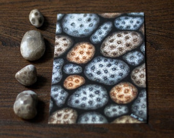 Michigan Petoskey Stones - Fine Art Print - Watercolor - Beach - Lake Michigan - Giclée - Birds of the Air - Fossil - Petoskey Stones