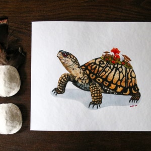 Eastern Box Turtle Fine Art Print - Watercolor - Painting - Reproduction - Mushrooms - Wildlife - Birds of the Air - Turtle - Box Turtle