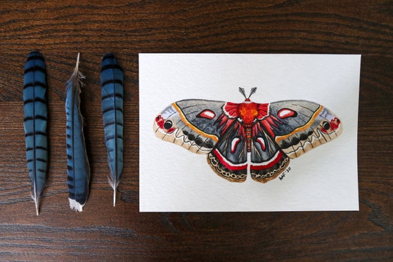 Black and White Moth Art Blank Fine Art Greeting Card 4x6 Cecropia Moth Linocut Print Reproduction