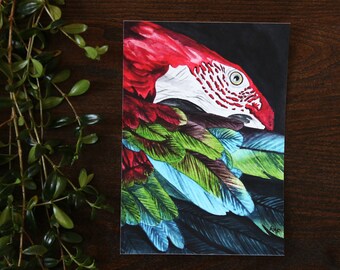 Macaw Parrot - Watercolor - Painting - Tropical Painting - Macaw - Birds of the Air - Original Painting - Wall Art - Nature - Wildlife