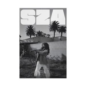 Stilvolles SZA CTRL gerolltes Poster, modernes Wohndekor, Musikwandkunst, Geschenk für Fans, Boho Chic-Dekor, einzigartiges Musikplakat