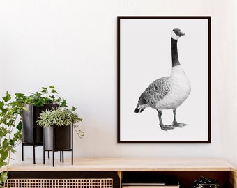 Canada Goose | Bird Realistic drawing print | Bernache | Outarde | Ornithology art | Modern Fine Art | Unframed Print | Comme une image