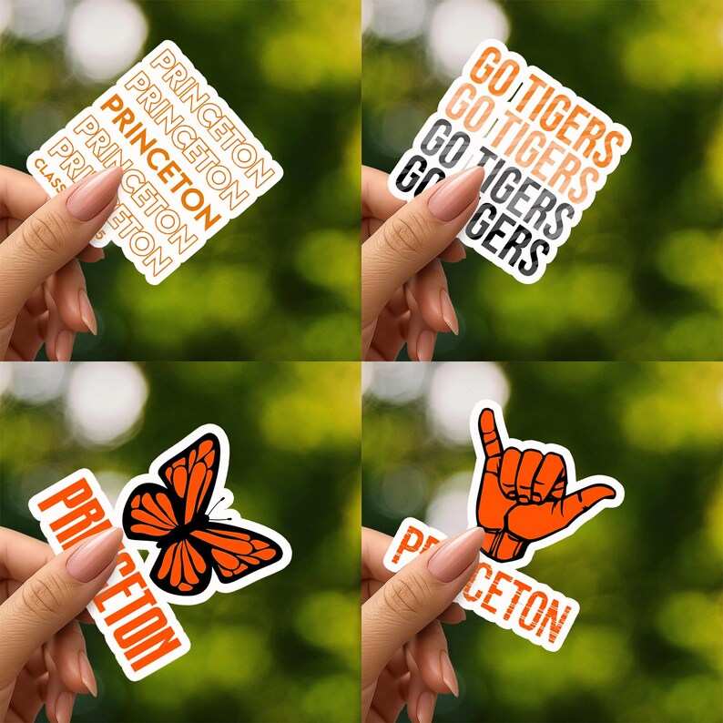 Princeton Sticker Sheet University – Waterproof Vinyl Decals 60 Piece ...