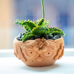 Vaso in terracotta a forma di gufo fatto a mano, grazioso vaso per cactus, mini vaso per piante grasse, vaso in argilla per piante, piccolo vaso da interno, regalo unico