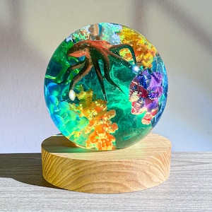 May include: A clear, spherical resin sculpture featuring a detailed octopus with coral and aquatic plants. The sculpture is set on a round, light-colored wooden base, creating a unique decorative piece.