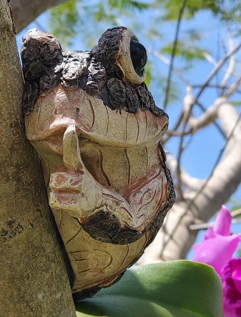 Hugger Tree Frog Frog Tree Peeker, Adorable Tree Sculpture, Yard Decor, Garden Peeker ...