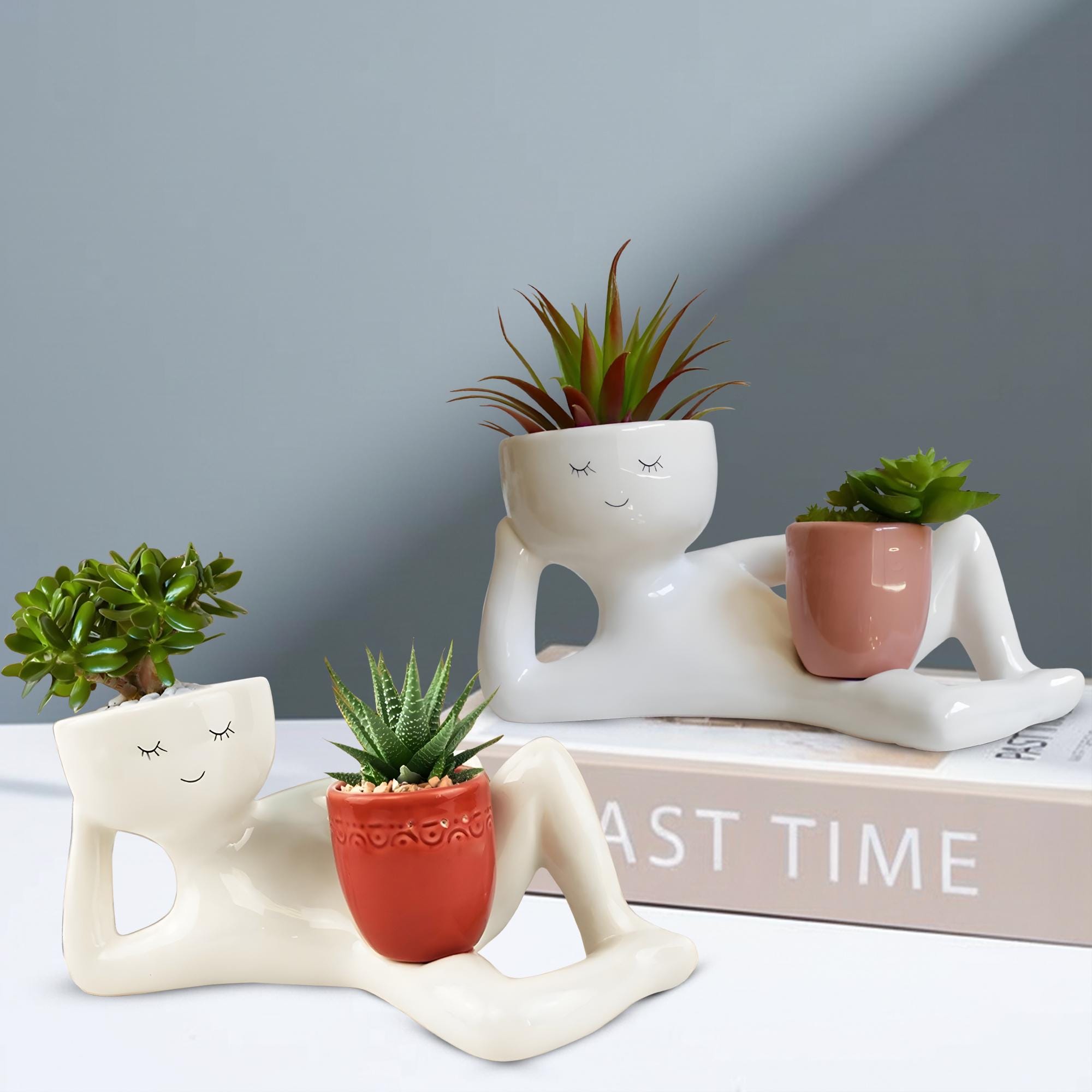 Cute Plant Pot, Modern Planter Funny Flower Pot, Succulent Holder ...