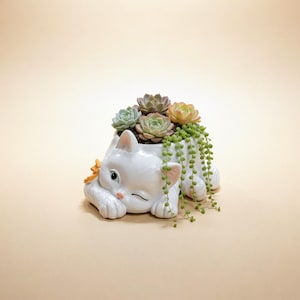 May include: A white ceramic cat-shaped planter featuring a winking expression and a small orange bow on its side. The planter is filled with a variety of small green and pink succulents, including a trailing string of pearls plant.