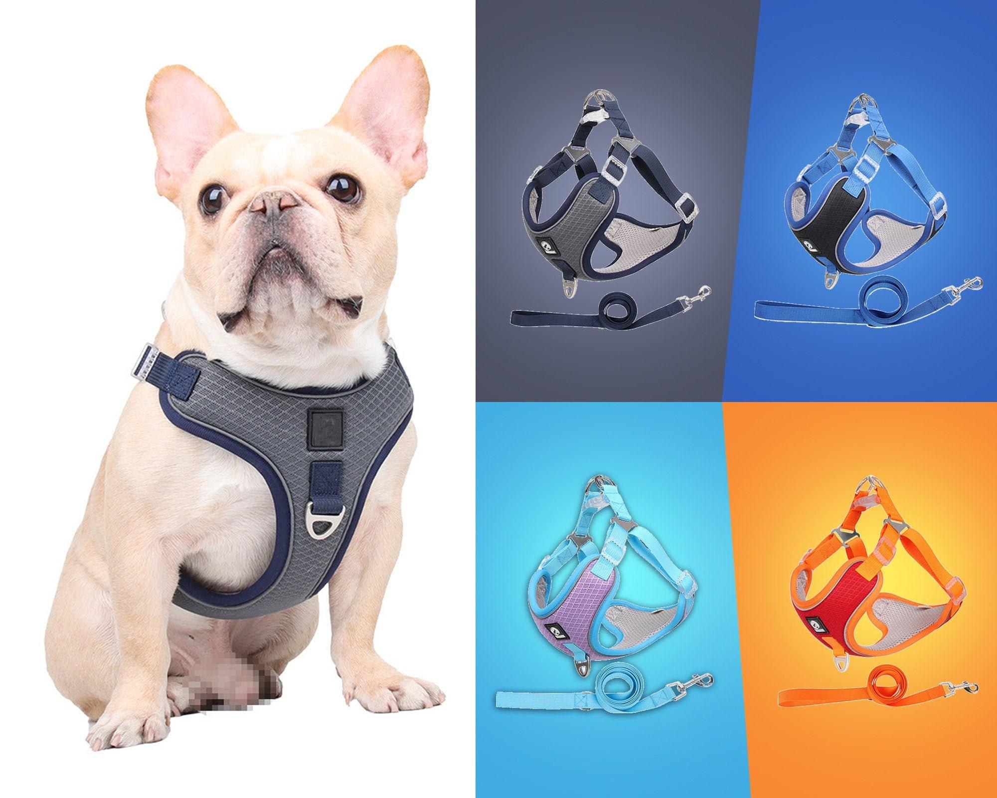 Hundeleine 'Do Not Pet' – Lustige Leine Für Hunde, 150 Cm Lang, Aus Strapazierfähigem Polyester