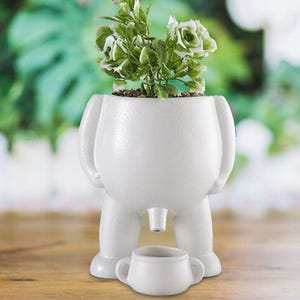 May include: A white ceramic planter in the shape of a figure, with a small cup-shaped accessory. The planter contains a small plant with green and white leaves and flowers. The figure has arms, legs, and a spout. The background is blurred.