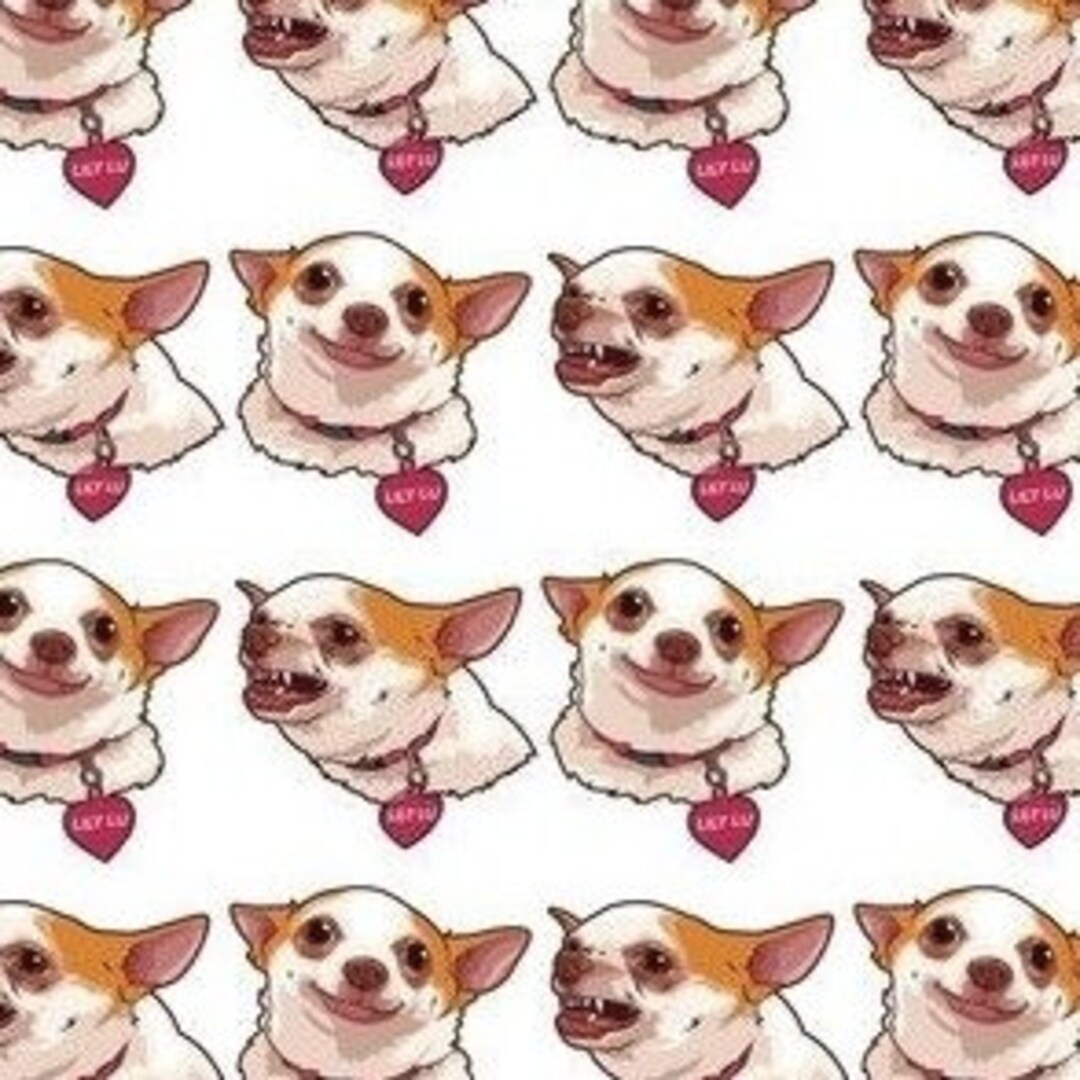 Lily Lou Dog Meme Euro Surgical Scrub Cap With Toggle Food Service Cap