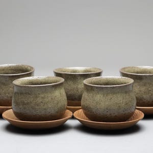 Japanese Tea Cup Set of 5 | Yunomi with Wooden Saucers | Handmade Pottery | Stoneware | Wabi Sabi Rustic Earthy Zen Teaware | Japan Designs