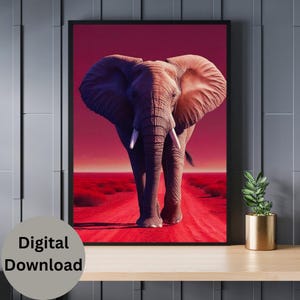 Elephant Wall Art